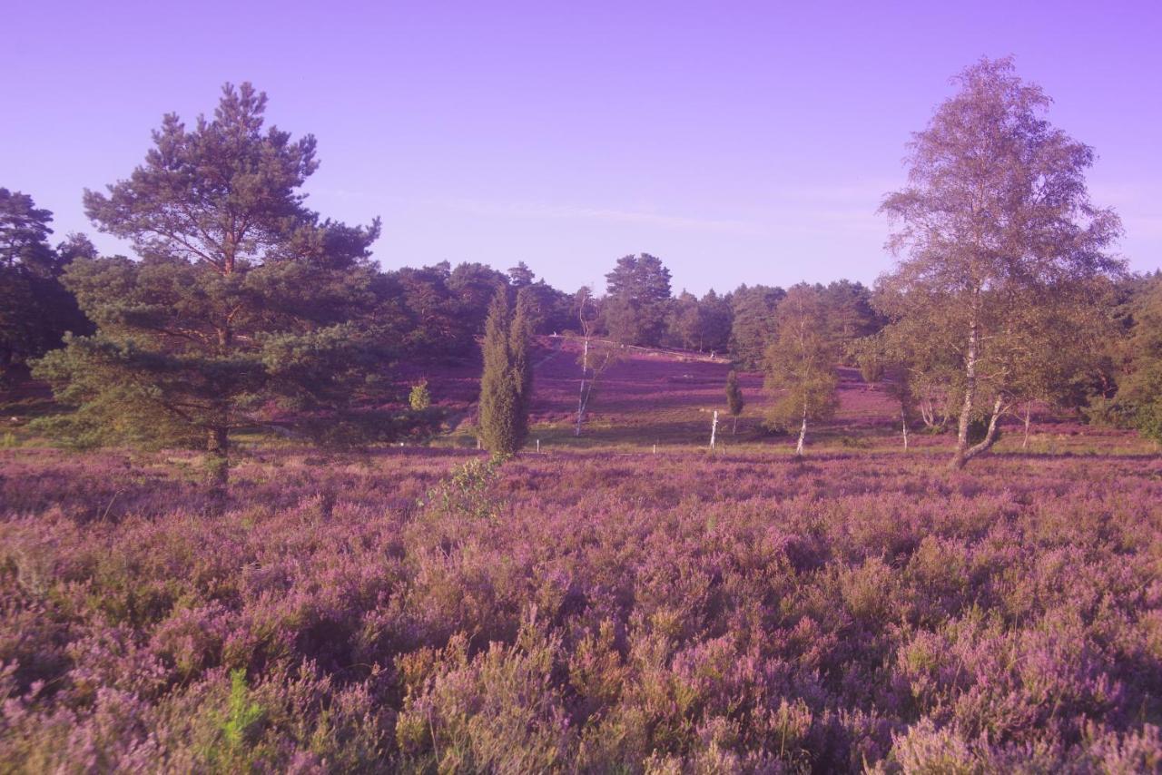 Ferienwohnung Schuur - Buchholz In Der Nordheide Luaran gambar